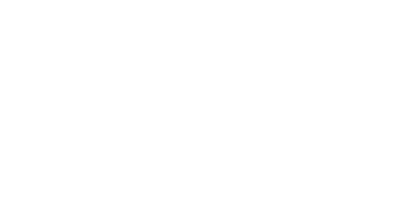 logo domo white